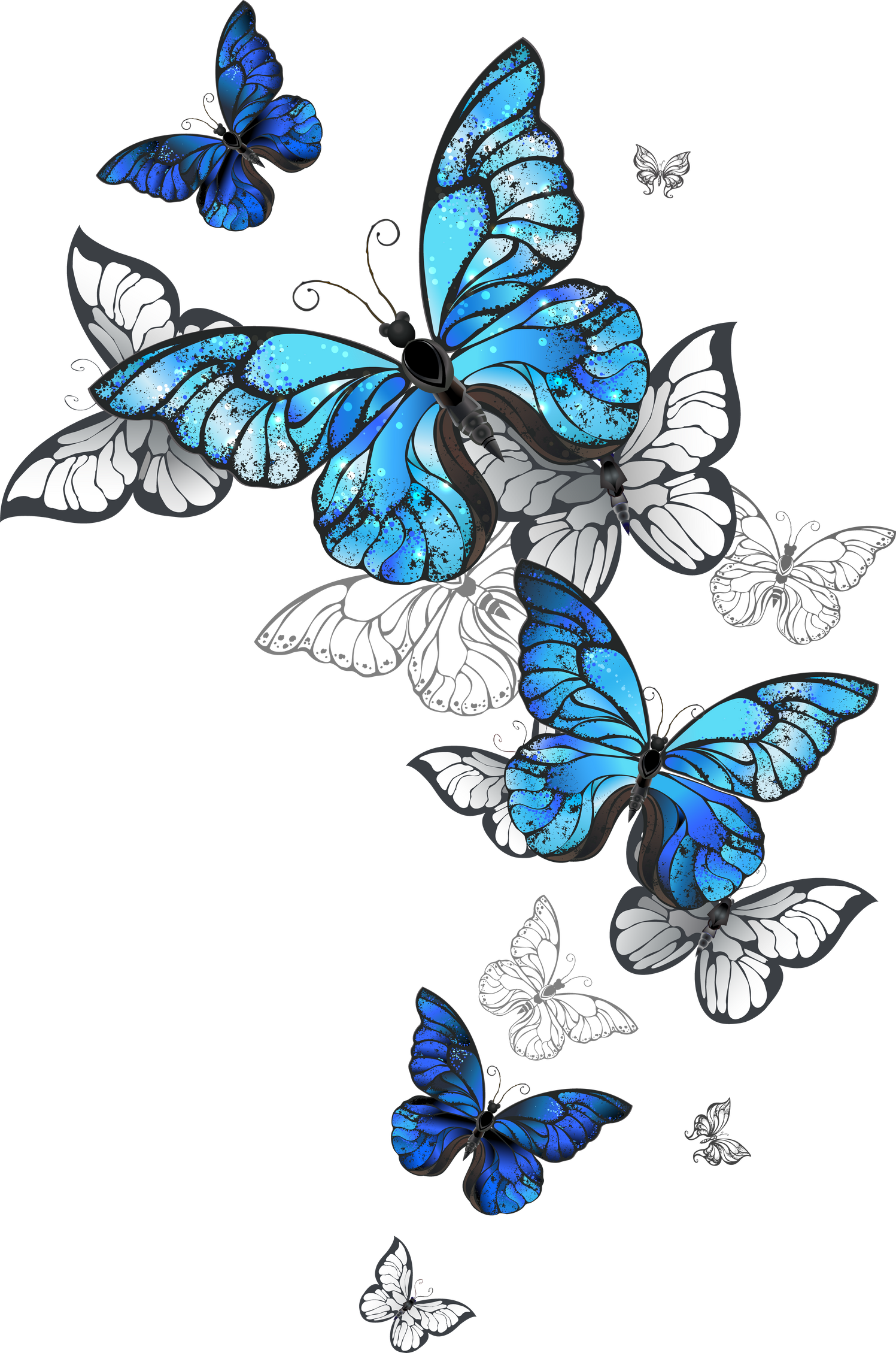 Butterflies Morpho